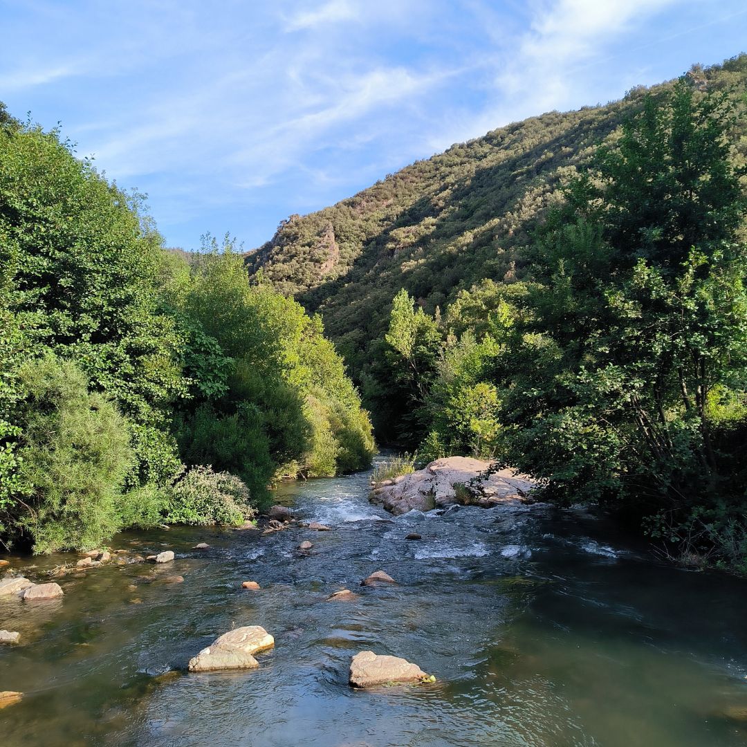 Direction Avène en Occitanie : Votre Prochaine Destination de Vacances Relaxantes. Pensez à prospecter pour vos investissements !