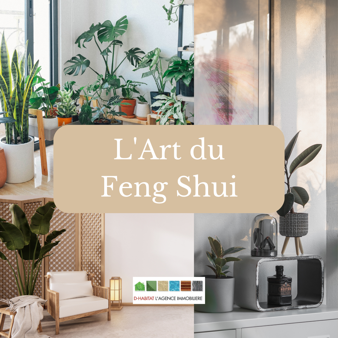 L'Art du Feng Shui et son pouvoir de transformation dans la décoration d'intérieur. Transformez votre chez vous en un havre de sérénité !