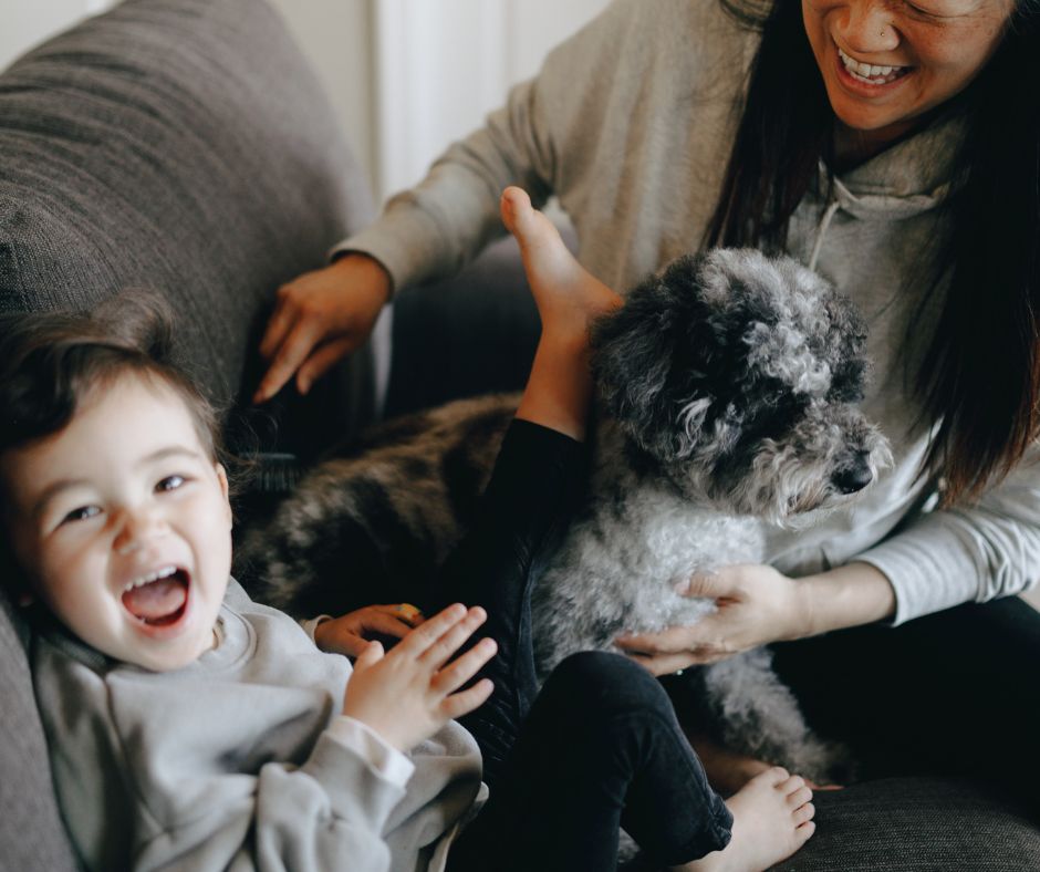 pourquoi chiens et chats influencent les achats, et comment valoriser votre bien auprès des propriétaires.